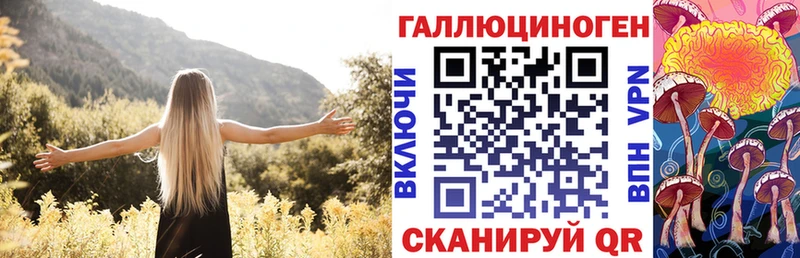 Псилоцибиновые грибы Psilocybine cubensis Бологое